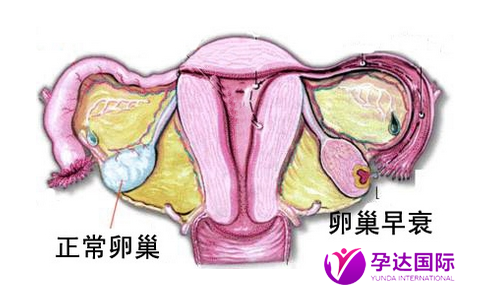 c77cc0b77c164081a7e5179216c3bc5.png