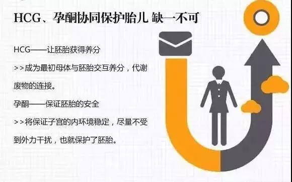 微信图片_20190803164840.jpg